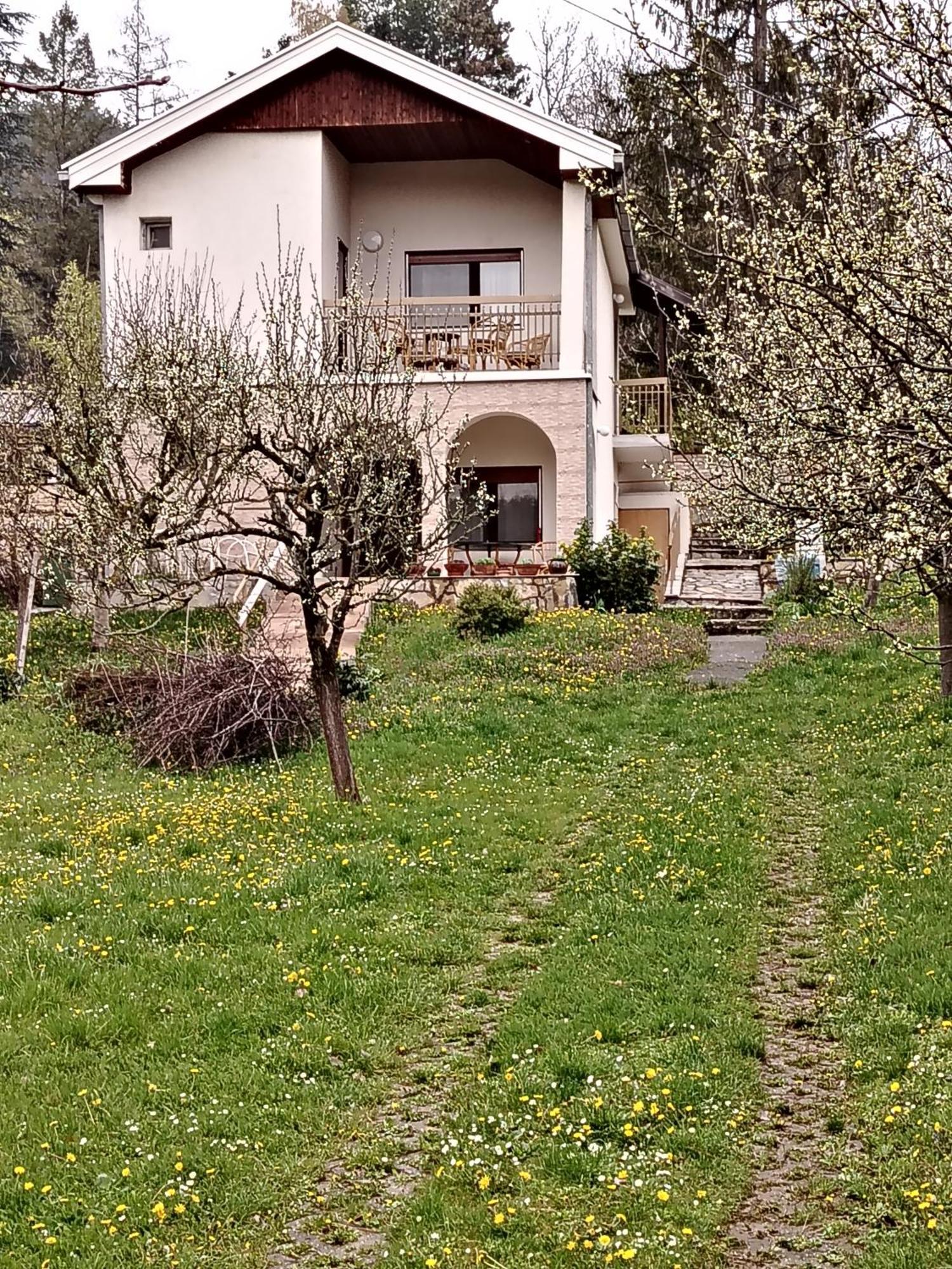 Apartment Honey And Milk Vrdnik Exterior foto